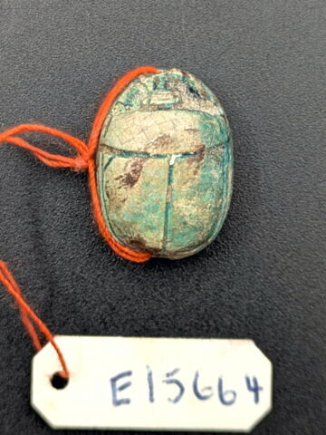 scarabée, image 2/2