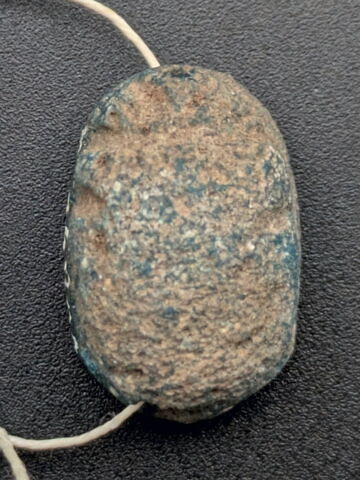 scarabée, image 2/3