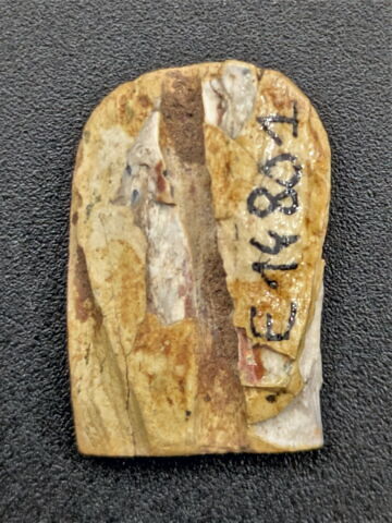 scaraboïde, image 2/2