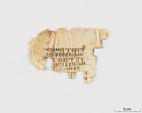 feuillet de codex ; fragment, image 2/6