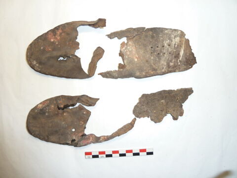 mule ; fragments ; fragments