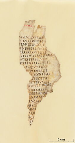 feuillet de codex ; fragment, image 3/8