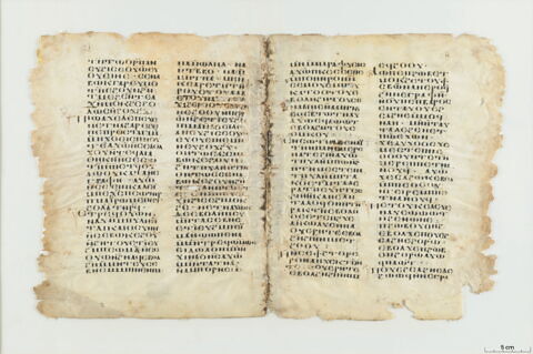 feuillet de codex, image 3/8