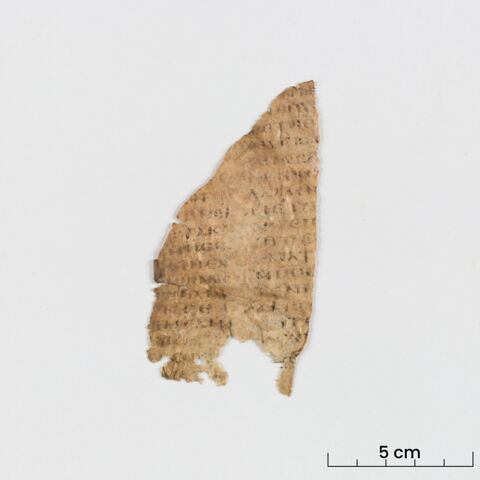 feuillet de codex ; fragment, image 2/6