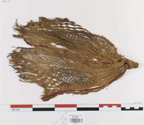 filet de tête ; fragment