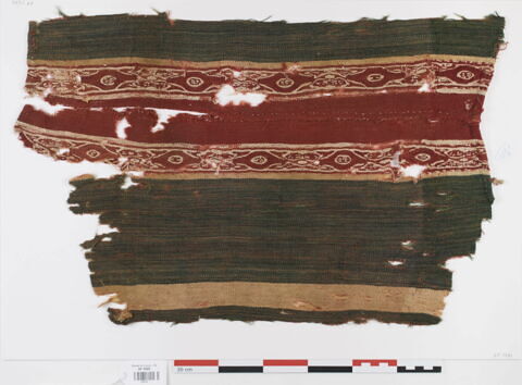 tunique ; fragment
