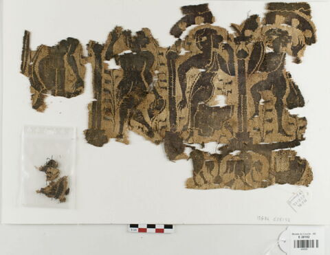 plastron de tunique ; fragment