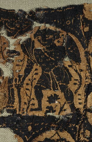 clavus ; fragment, image 2/3