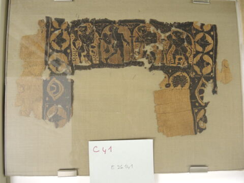 clavus ; fragment, image 3/3