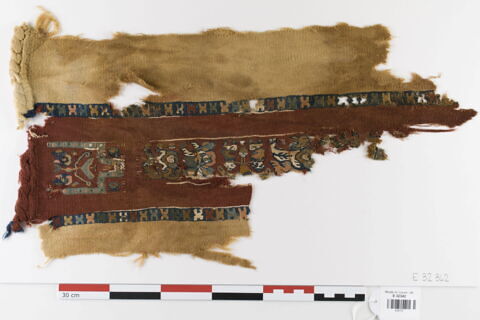 clavus ; fragment