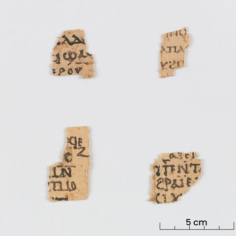 papyrus littéraire, image 2/4
