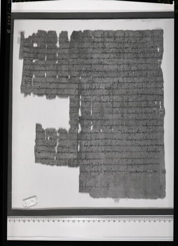 papyrus documentaire
