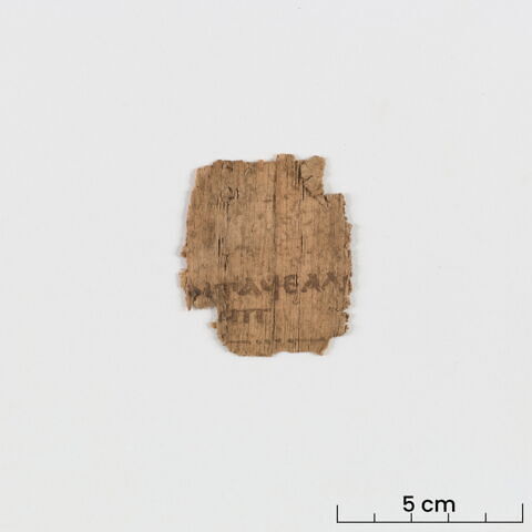 papyrus littéraire, image 2/6