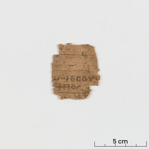 papyrus littéraire, image 3/6