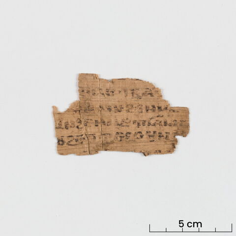 papyrus littéraire ; fragment, image 2/6