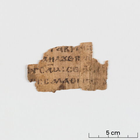 papyrus littéraire ; fragment, image 3/6