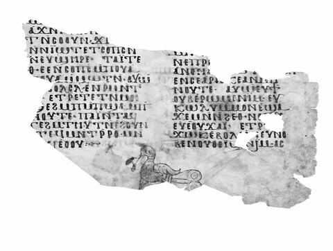 feuillet de codex ; fragment, image 4/4