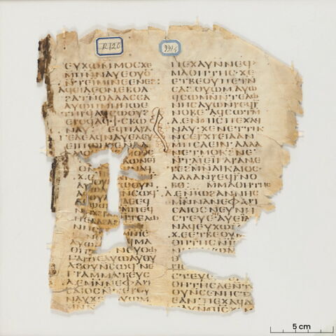 feuillet de codex ; fragment, image 3/6