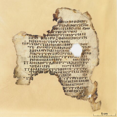 Codex DD, image 3/8