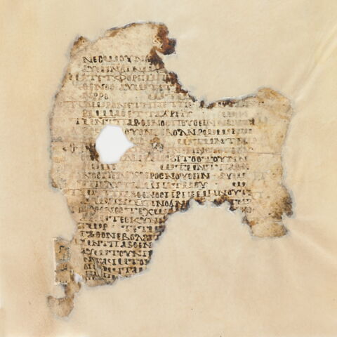 Codex DD, image 4/8