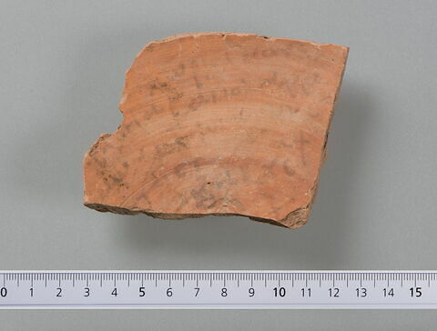 ostracon ; fragment