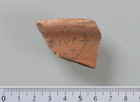 ostracon
