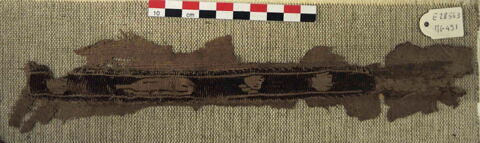 clavus, image 2/2