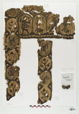 clavus ; fragment
