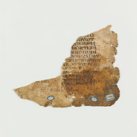 feuillet de codex ; fragment, image 4/6