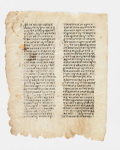 feuillet de codex, image 4/6