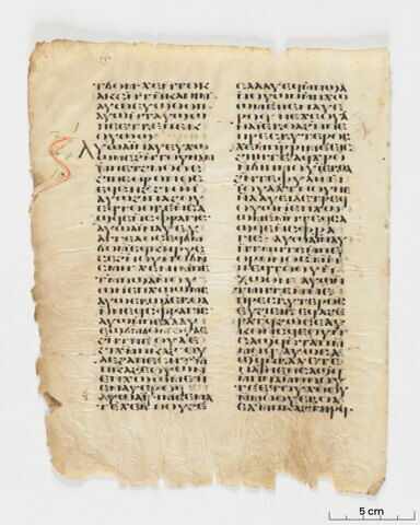 feuillet de codex, image 2/6