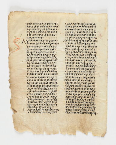 feuillet de codex, image 4/6