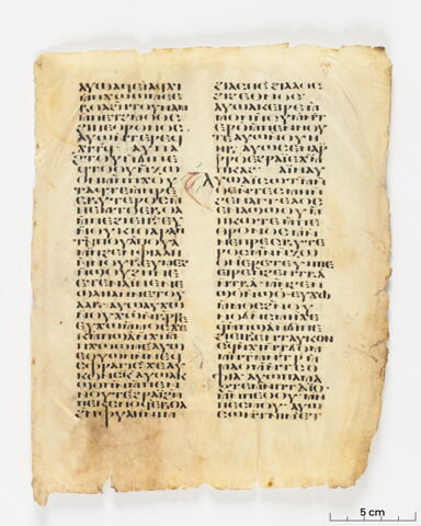 feuillet de codex, image 3/6