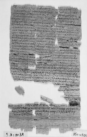 papyrus documentaire, image 3/4