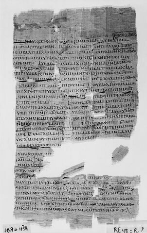 papyrus documentaire, image 4/4