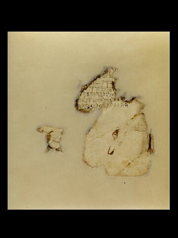 feuillet de codex ; fragment, image 2/4