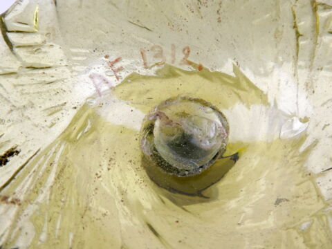 coupe à pied, image 2/4