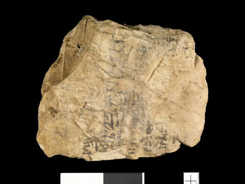 ostracon, image 2/2