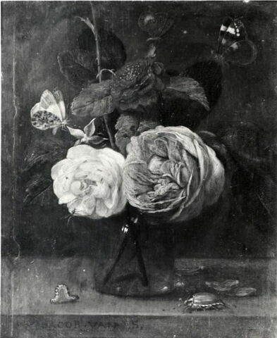 Fleurs, image 3/3
