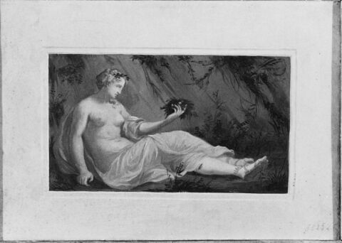 Flore, image 5/6