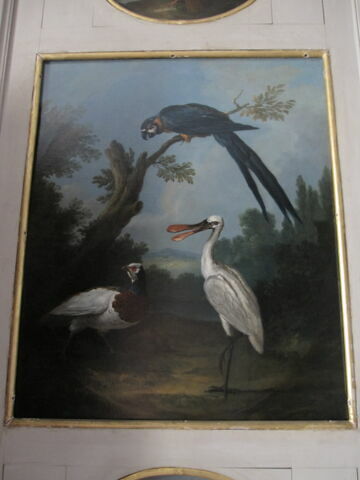 Perroquet, faisan blanc et spatule, image 2/2