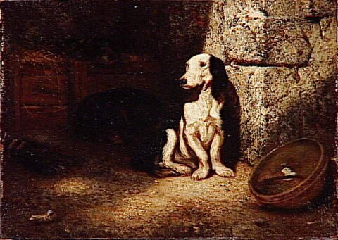 Chien basset noir et blanc au chenil., image 3/3