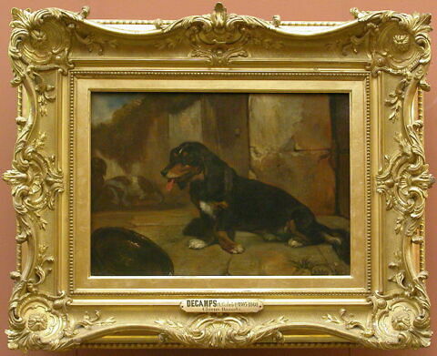 Chien basset., image 2/2