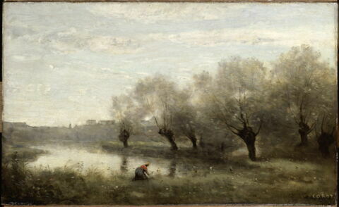 Saulaie à la pointe d'un marais., image 3/3