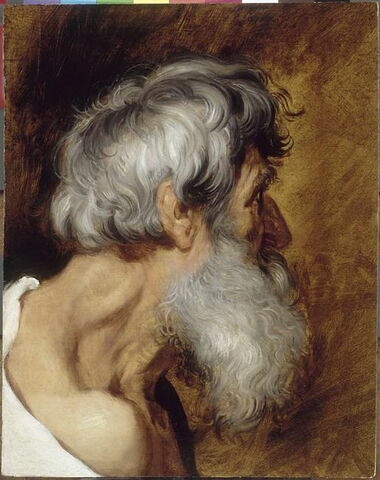 Vieillard de profil; tête d'étude, image 3/3