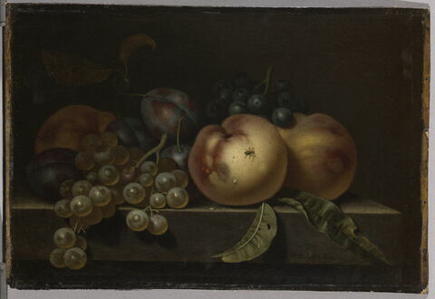 Pêches, prunes et raisins