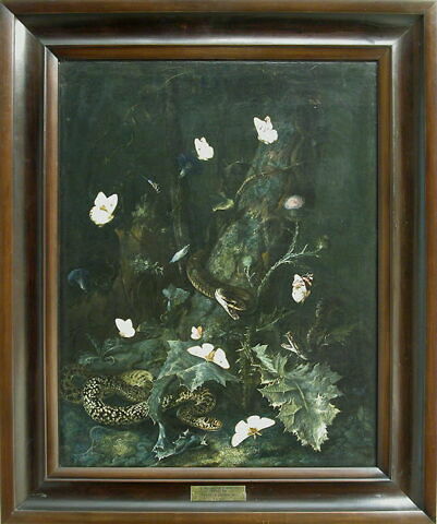 Serpents et papillons dans un sous-bois, image 3/3