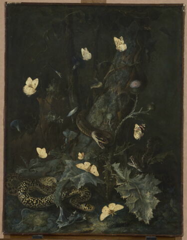 Serpents et papillons dans un sous-bois