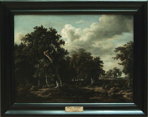 La Forêt de chênes, image 5/6