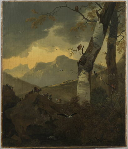 Paysage montagneux aux arbres et aux oiseaux, reptiles, batraciens et autres animaux
